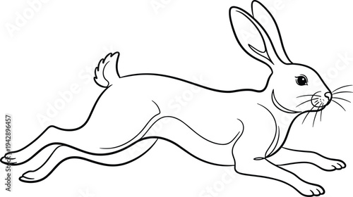 Black line of a running rabbit line animal mammal
