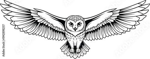 Flying owl with outstretched wings and sharp gaze black and white bird