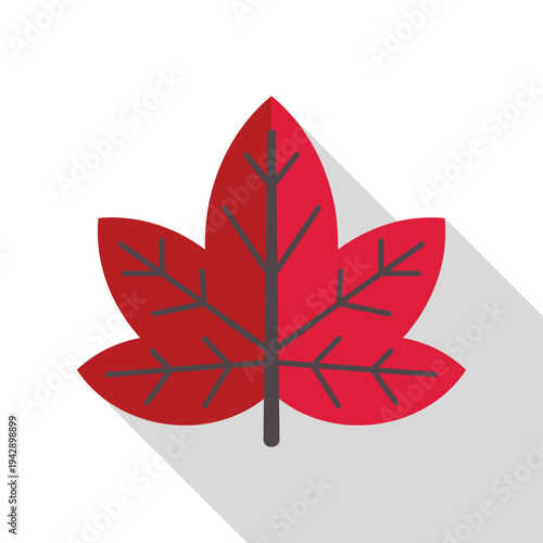 Red maple leaf illustration with flat shadow representing fall nature and canadian symbolism