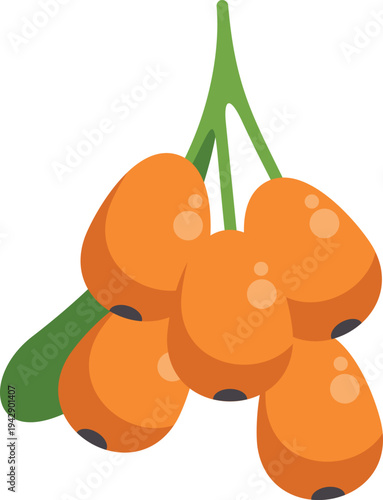 Sea buckthorn berries cluster illustration on transparent background
