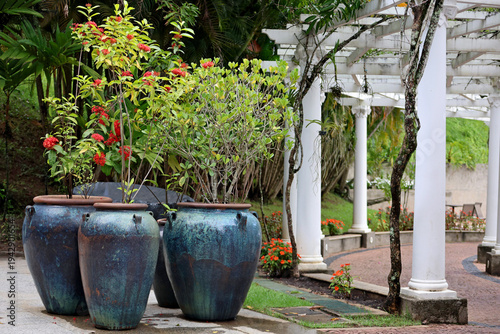 Blue vases with green plants decorating a park in the city of Águas de São Pedro, Brazil.