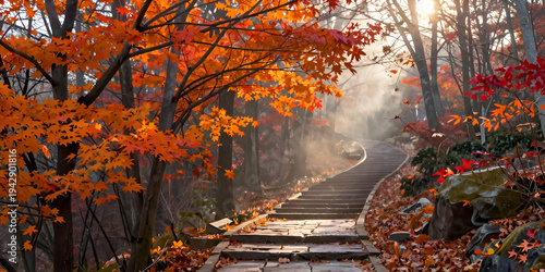 autumn leaves in the park