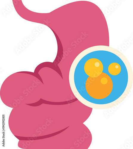 Human stomach with a magnified view of microbes, representing gastrointestinal health and disease