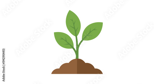 Young green plant sprouting from rich soil symbolizing growth new life sustainability nature development