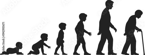 Vector Silhouette Illustration Showing the Human Life Cycle Stages From Crawling Baby and Developing Child to Adult Man and Elderly Senior With Walking Stick