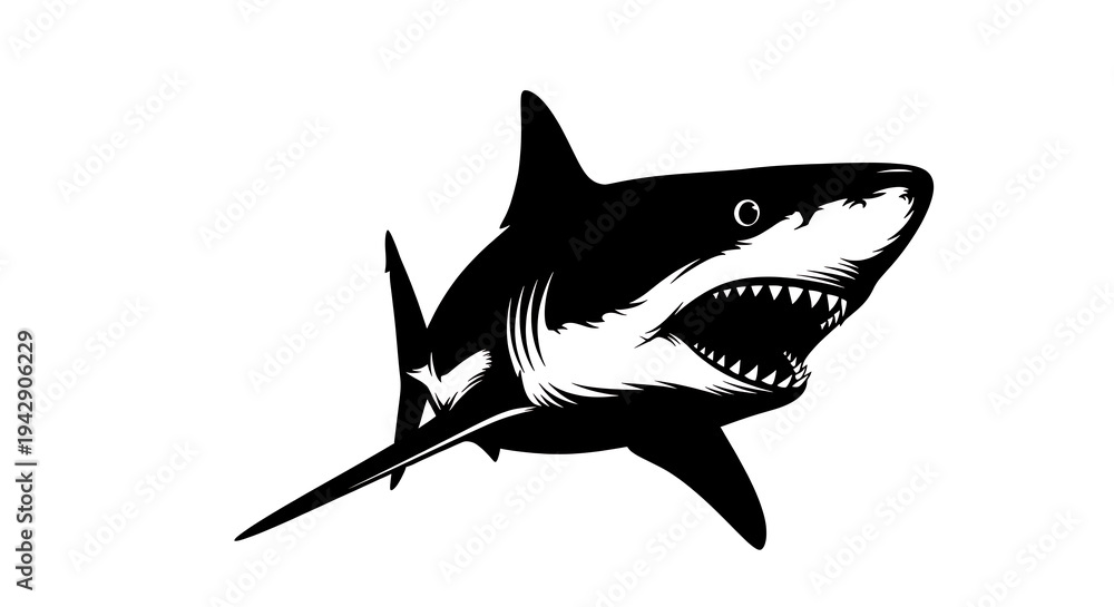Fototapeta premium Detailed black and white illustration of a great white shark on transparent background