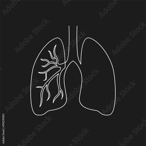 Human Lungs and Respiratory System Outline Illustration on Black Background