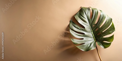 Single tropical leaf against a neutral backdrop showcasing natural elegance and minimalist design