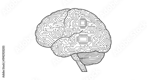 Human brain anatomy line illustration cognitive science neuroscience concept brain structure vector design isolated background medical education psychology neurology intelligence concept