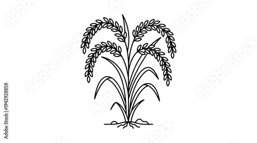 Outline vector icon of rice plant with grains, agriculture farming symbol, clean thin line style, isolated on white background, no text, no gradient