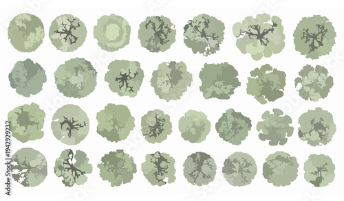 Landscape design trees top view vector pack with detailed canopy elements for garden and site planning