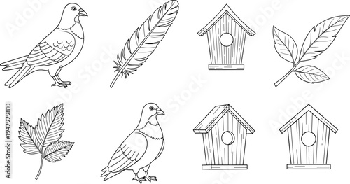 Collection of hand-drawn pigeon, feather, birdhouse, and leaf illustrations in black and white