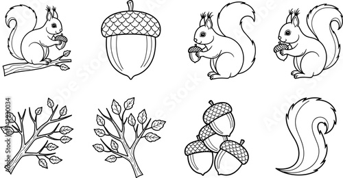 Cute squirrels and acorns in a playful black and white illustration style