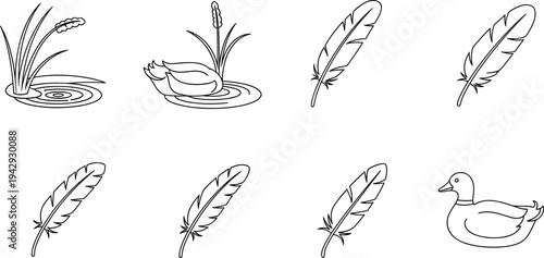 Collection of simple line art icons featuring ducks, feathers, and reeds on water