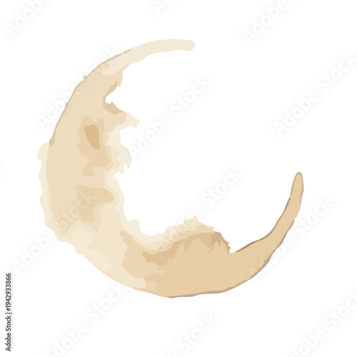 Watercolor coffee stains and splashes set, realistic brown ring marks for vintage design／コーヒー 