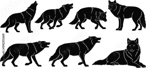 Wolf silhouettes collection, eight wild animal poses, howling, walking, standing, growling, lying down, vector illustration, predator design, nature wildlife concept