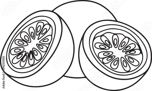 Sliced Orange Fruit Outline Close-up Detail of Segments and Peel Simple Graphic Representation