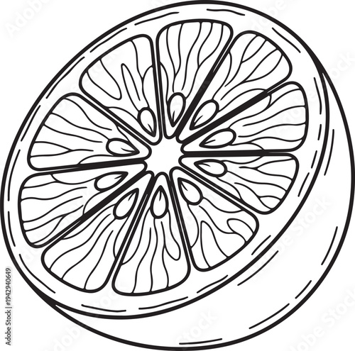 Citrus Fruit Slice Outline Drawing Healthy Food Ingredient Simple Graphic Element