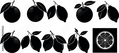 Vector silhouette collection of fresh citrus fruits featuring whole lemons and oranges with green leaves and a round sliced cross section for graphic design.