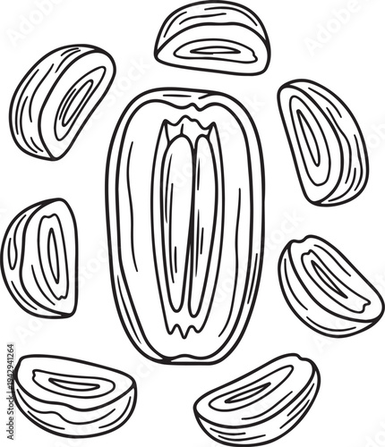 Date Fruit Halves and Slices Hand Drawn Illustration Healthy Food Ingredient Stock Graphic