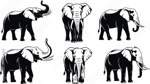 Vector silhouette collection of majestic African elephants featuring various poses with trunks up and down for wildlife conservation and nature graphic design projects.