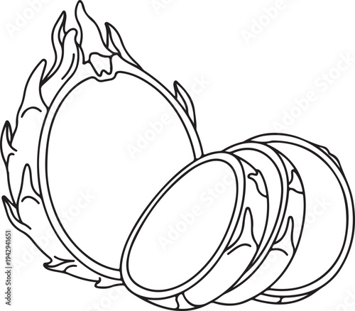 Dragon Fruit Slices Outline Illustration Exotic Fruit Tropical Food Isolated on White