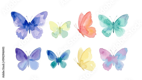 Hand drawn watercolor butterfly illustration, graceful colorful insect for spring design／蝶