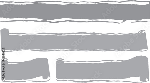Set of Torn Paper Strips with Rough Ripped Edges