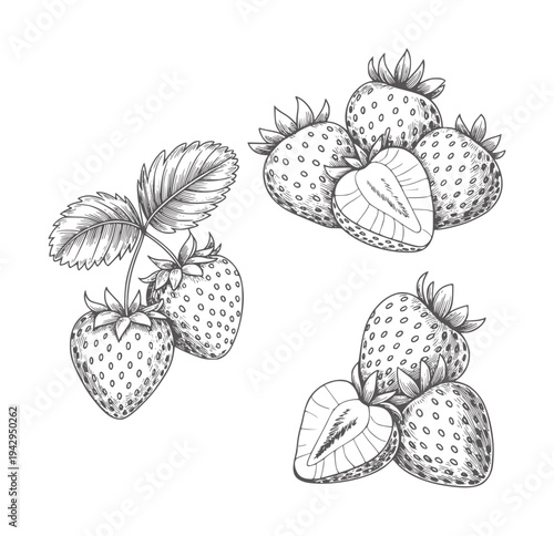 Black and white line of strawberries with leaves and cut halves strawberry fruit