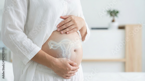 Wallpaper Mural Pregnant woman maternity motherhood belly uterus healthcare medical adult female mother pregnancy body prenatal care obstetric gynecology abdomen hands touch protection safety family expectation Torontodigital.ca