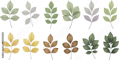 Variety of autumn leaves in different colors and shades