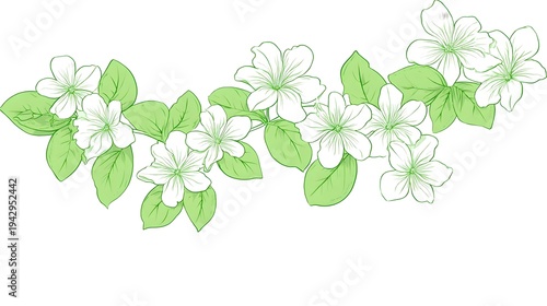 A minimalist drawing of jasmine blossoms featuring a distinct green outline on a stark white background ideal for graphic design and decorative purposes
