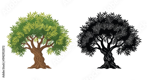 Olive tree depiction a colorful illustration alongside its black outline