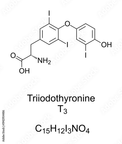 Triiodothyronine, T3, thyroid hormone, chemical formula. Affects almost every physiological process in the body, including growth and development, metabolism, body temperature, and heart rate. Vector