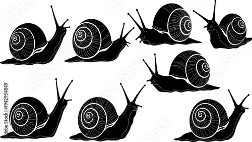 Vector illustration collection of various snail silhouettes with detailed spiral shells isolated on white background for nature and garden designs.