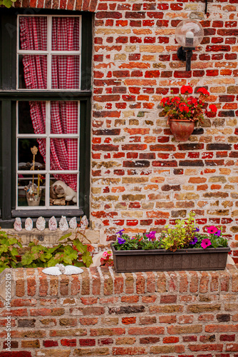 Canvas Print Charming brick wall adorned with flowers and warm homey details in a rustic neig