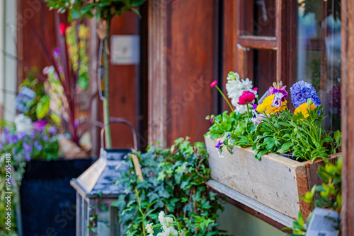 Colorful blooms brighten wooden windowsill in the heart of a charming village on a sunny afternoon