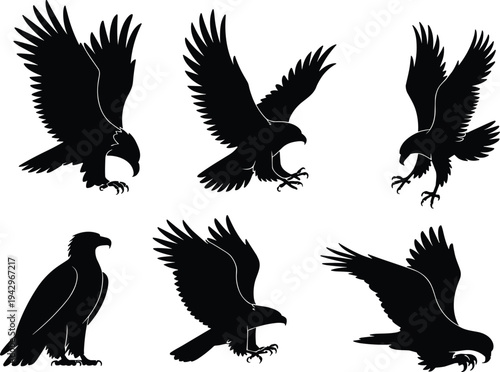 Eagle silhouettes collection, flying hunting eagle bird poses set, powerful raptor wildlife illustration isolated black silhouette vector