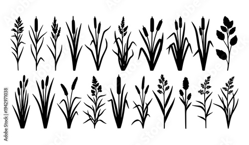Black grass and cattail plant silhouettes vector set for nature and landscape design