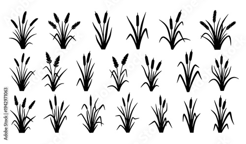 Cattail and wild grass silhouette vector pack for landscape and botanical design