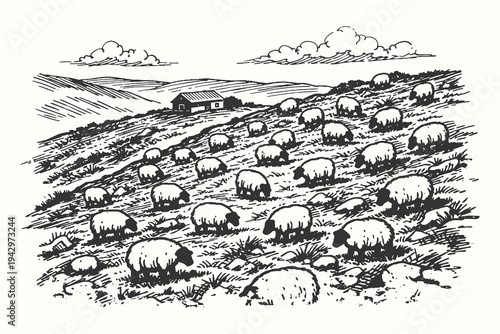 Traditional woodcut engraving depicting a rural farm scene with a large flock of sheep grazing on a grassy hillside under a soft, cloudy summer sky.
