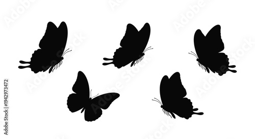 A collection of black butterflies in flight a striking silhouette