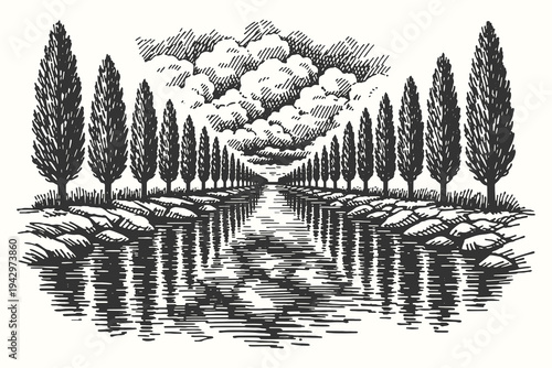 Reflective river scene lined with tall cypress trees, elegant black and white vector illustration in etching style.