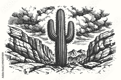 Desert landscape with a giant Saguaro cactus among rocky formations, detailed black and white vintage vector illustration.