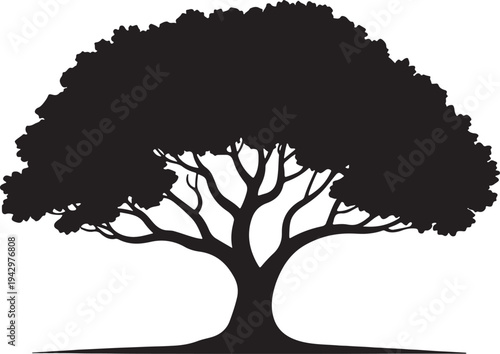 A majestic tree with a thick trunk and sprawling branches stands alone against a white background isolated on transparent background