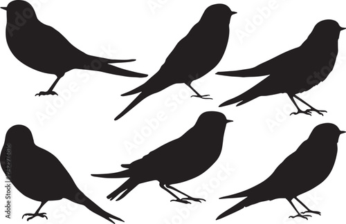 Five black silhouettes of birds standing on a white background isolated on transparent background