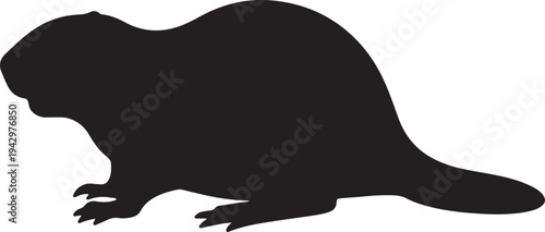 Silhouette of a beaver standing on its hind legs with a long tail isolated on transparent background