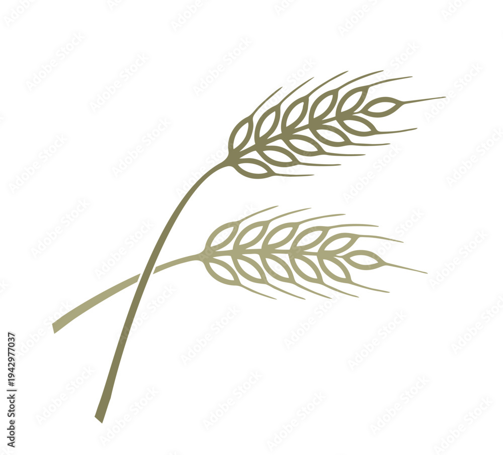 Obraz premium aehre100326a