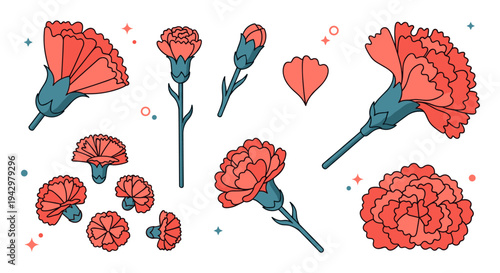 A vibrant collection of illustrated carnations in various styles and arrangements, featuring a modern flat design aesthetic