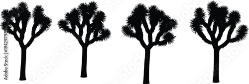 Joshua Tree Silhouettes: A stark yet stunning collection of silhouettes of the iconic Joshua tree, standing proud against the sky. 